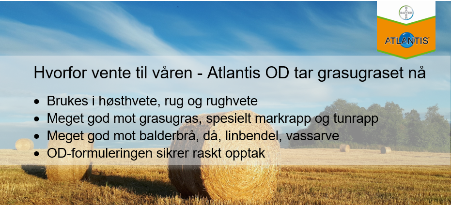 Atlantis høst ugras